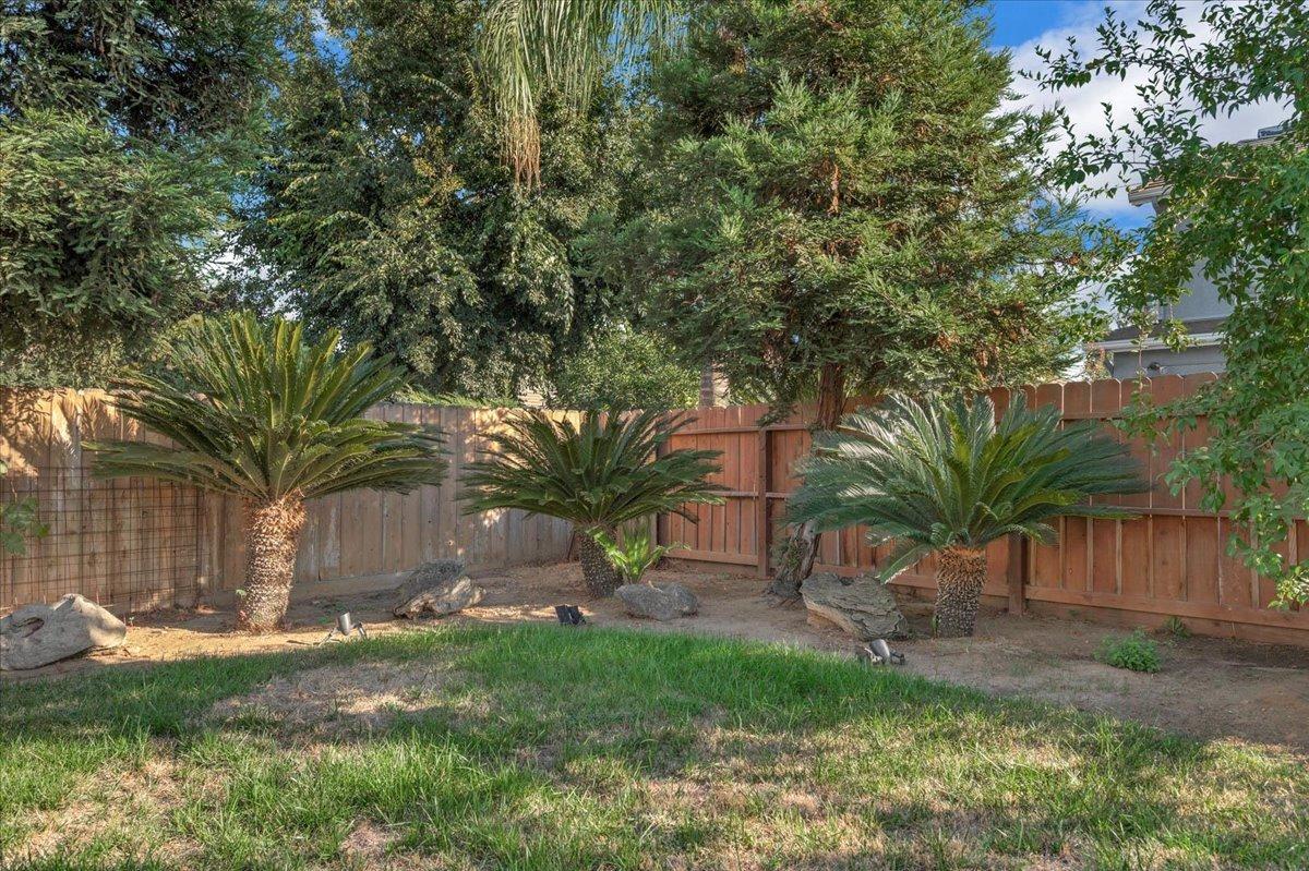 2474 Twain Avenue Clovis, CA 93611 - Photo 38 of 55 a view of a backyard with a garden and palm tree