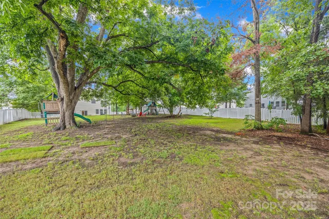 a view of a yard with a tree
