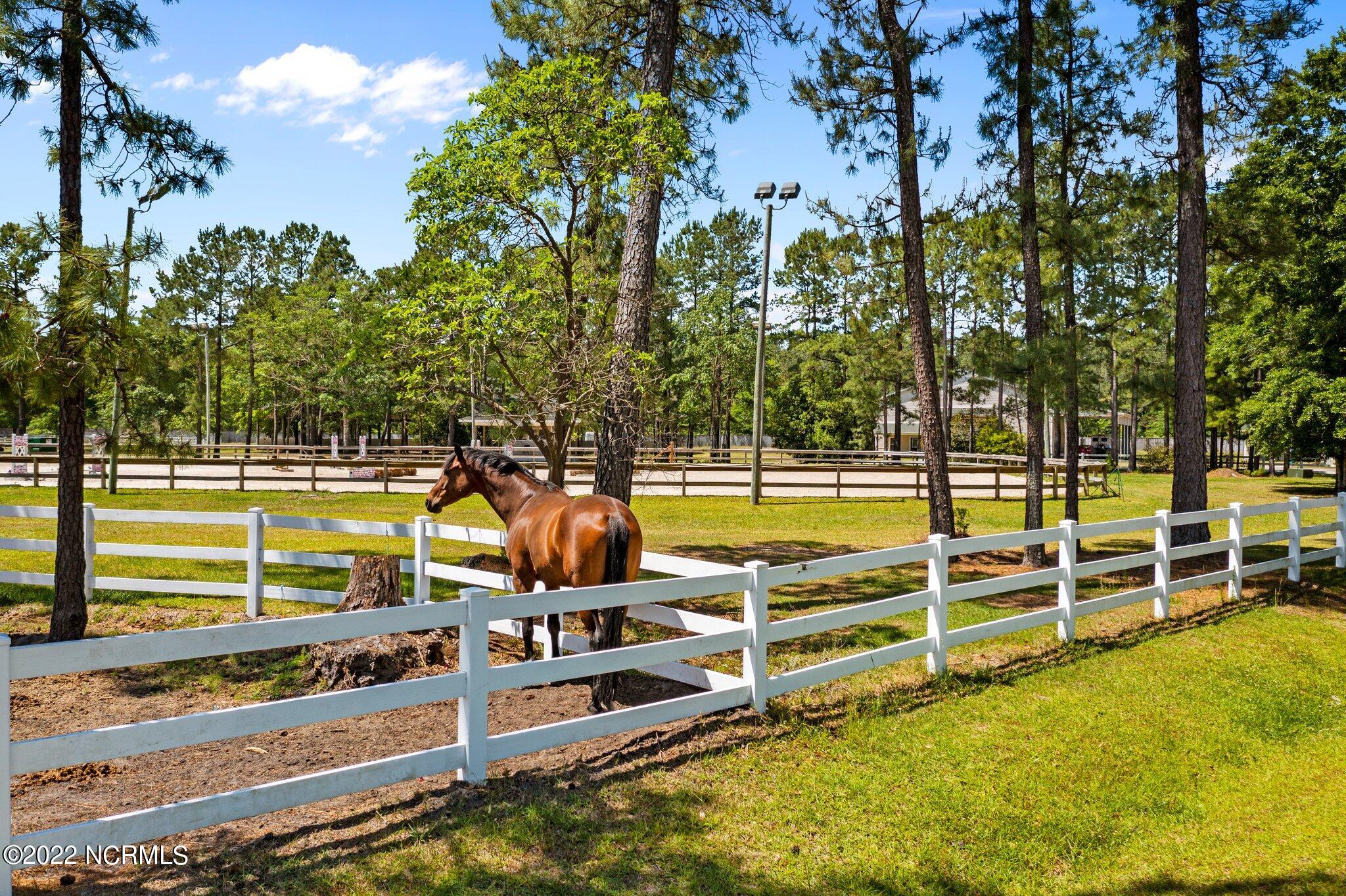 5822 Dekker Road Castle Hayne, NC 28429 - Photo 53 of 59 Horse Farm
