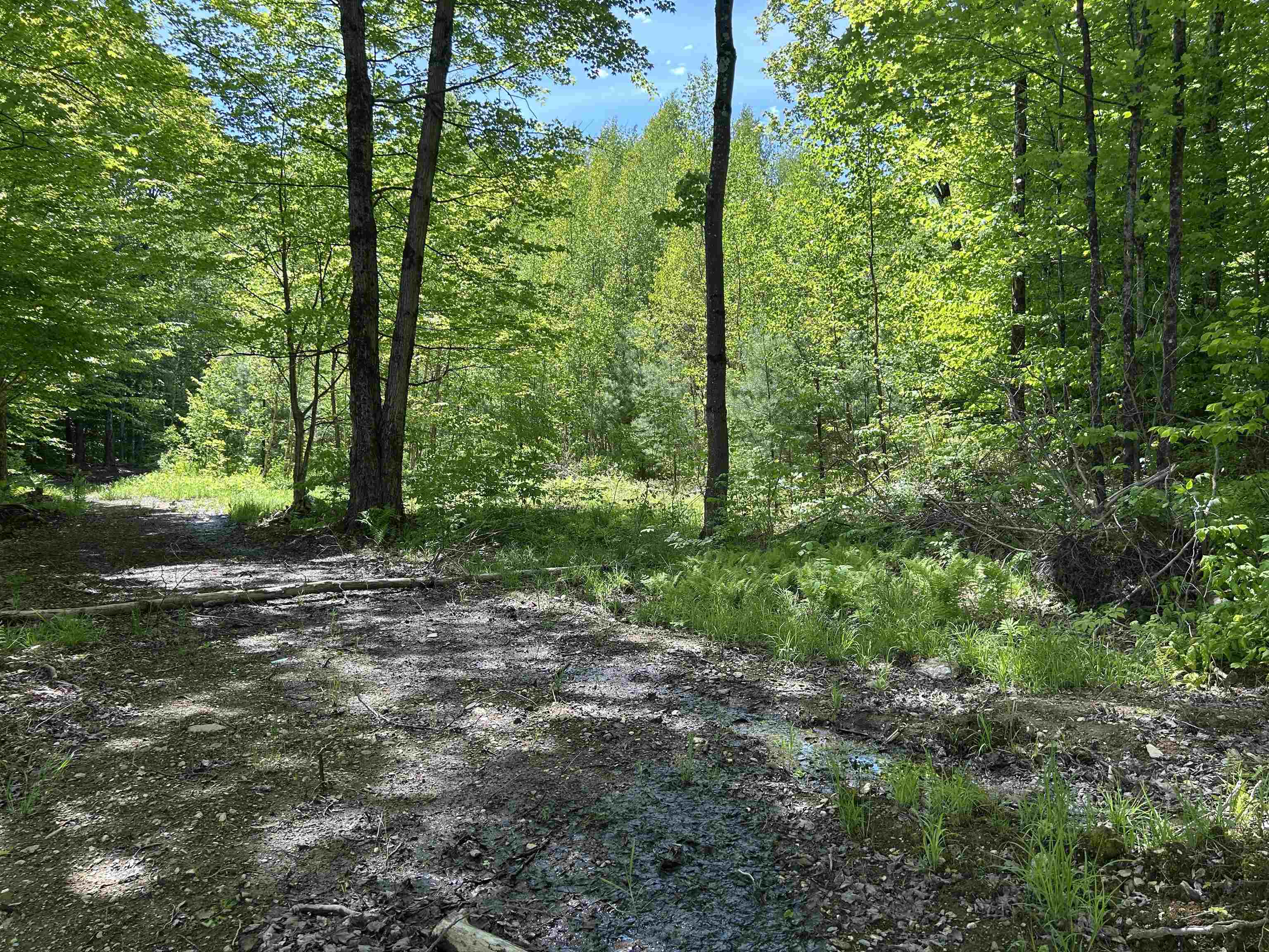 Lot 2 Pion Rd Street St. Albans, VT 05478 - Photo 12 of 15