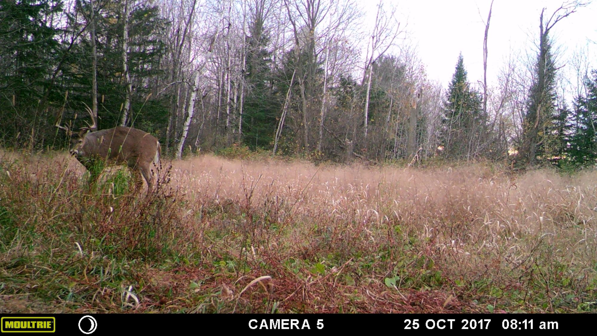 N9594 Cth D Bowler, WI 54416 - Photo 74 of 91 Gallery Image 74