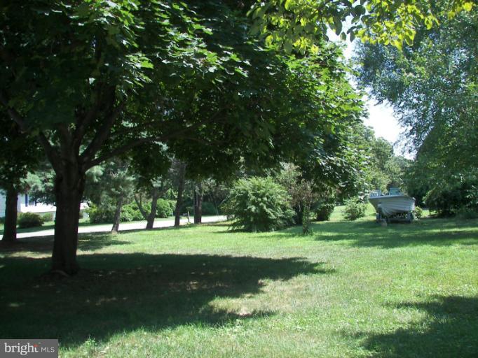 1166 Oldfield Point Road Elkton, MD 21921 - Photo 15 of 19 Yard