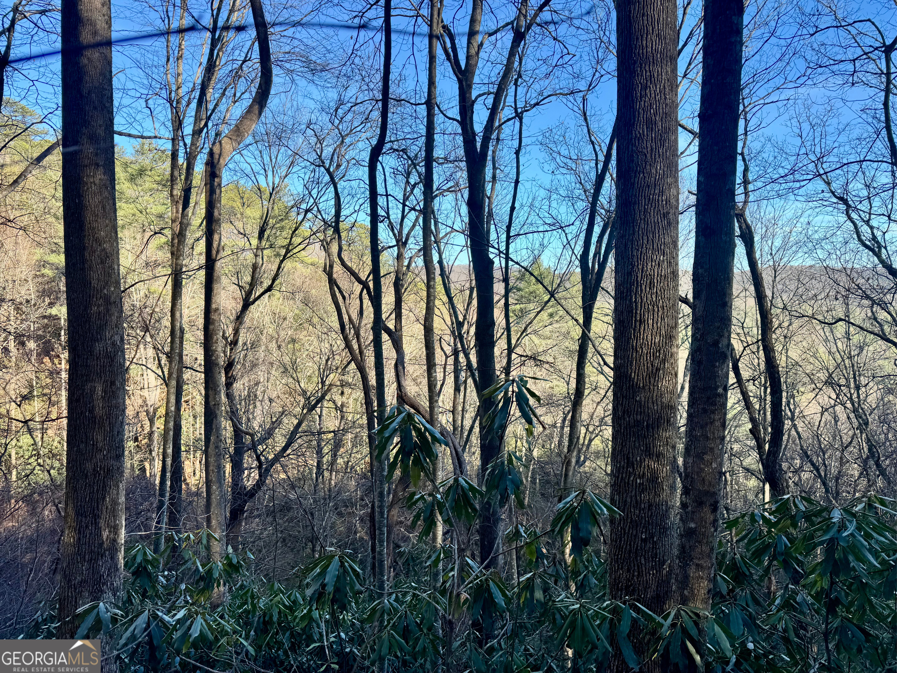 0 Mule Branch Road Helen, GA 30545 - Photo 17 of 17 Gallery Image 17
