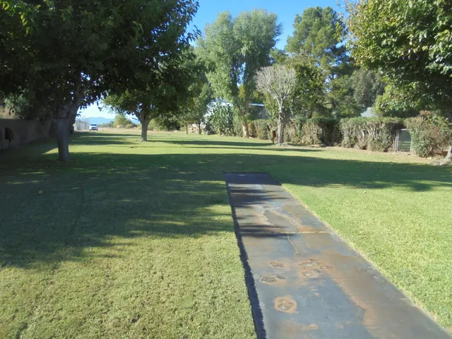 a view of outdoor space with trees all around