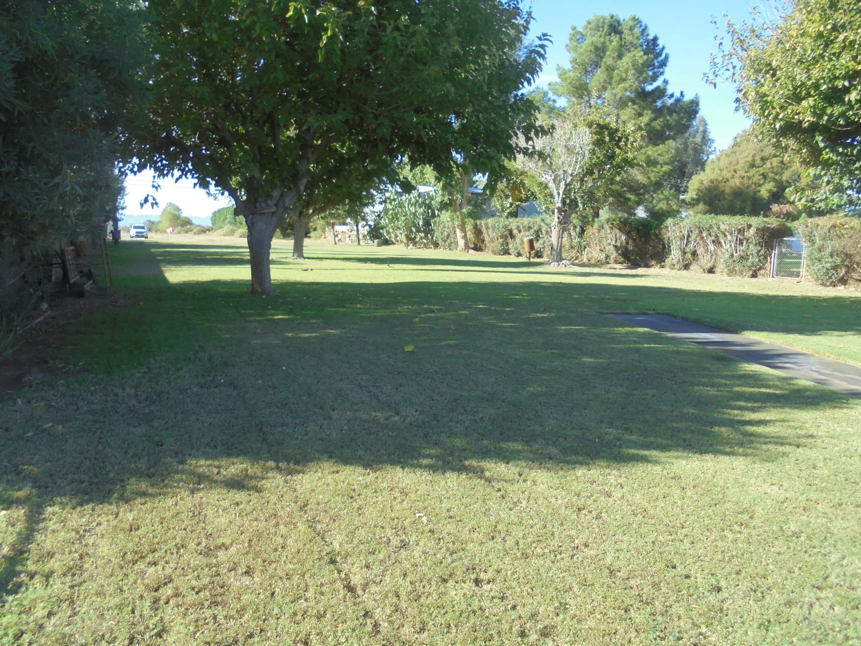 654 Riviera Drive Blythe, CA 92225 - Photo 20 of 39 a view of outdoor space with trees all around