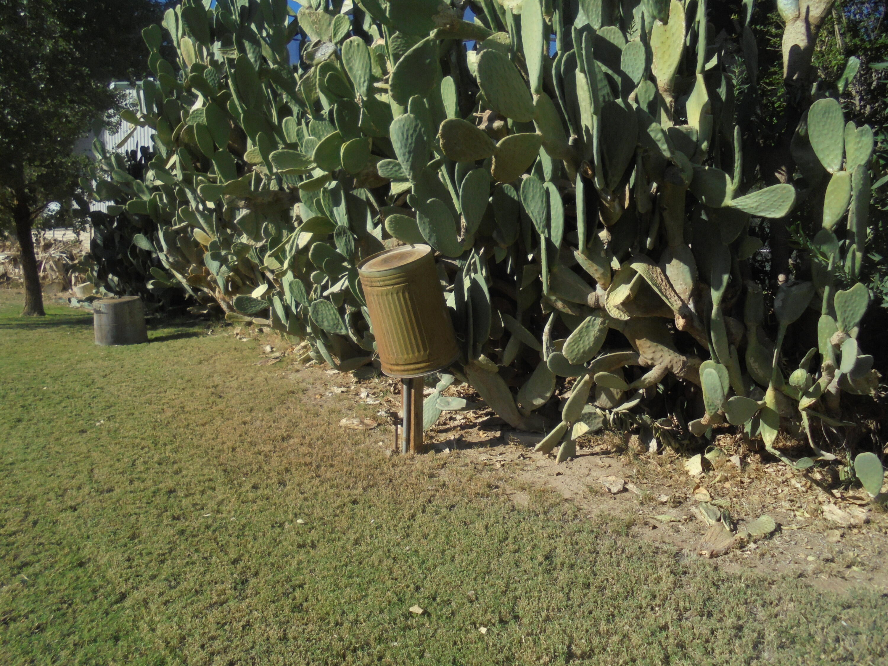 654 Riviera Drive Blythe, CA 92225 - Photo 25 of 39 a view of a bench in a yard