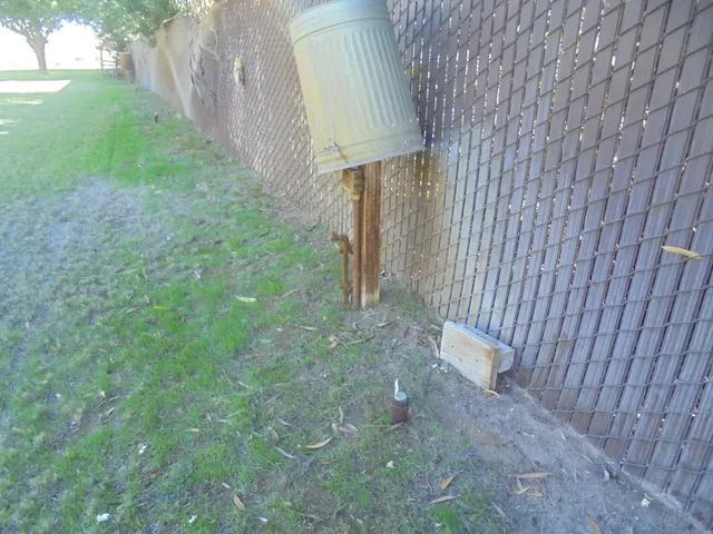 a view of a dry yard with trees