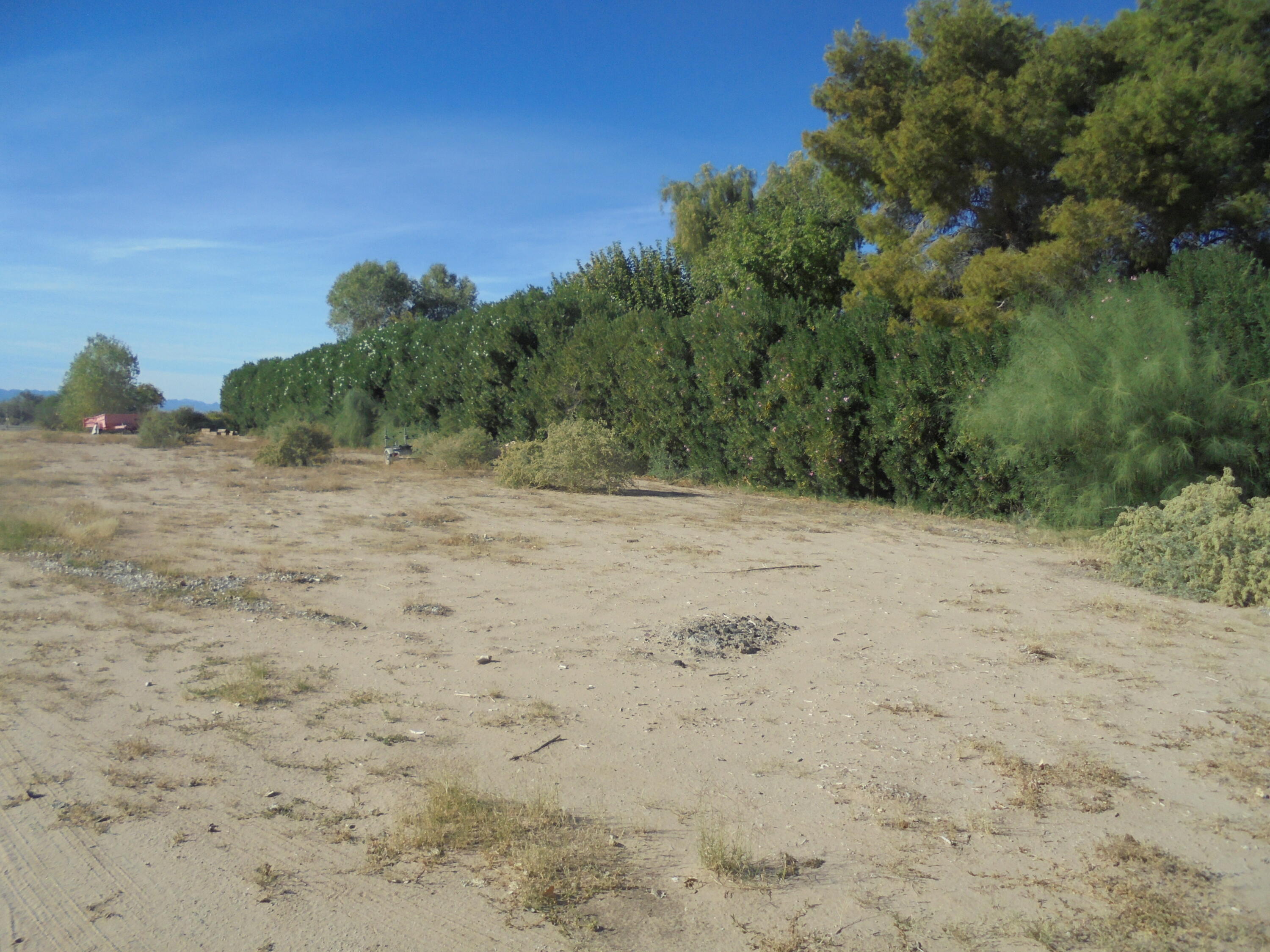 654 Riviera Drive Blythe, CA 92225 - Photo 34 of 39 a view of a dry yard with trees