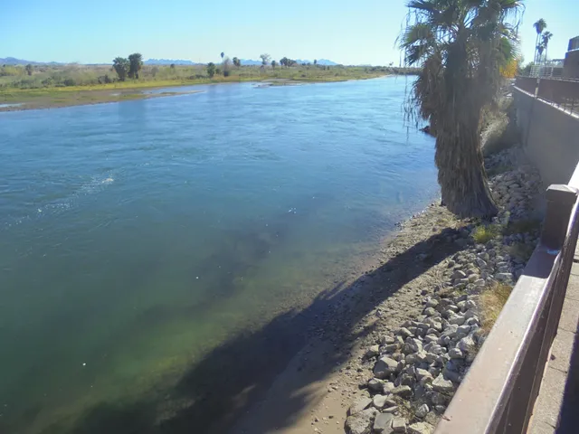 a view of an ocean and beach