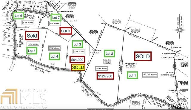0 A P Roper Road, Unit LOT 2 Greensboro, GA 30642 - Photo 1 of 1 Gallery Image 1
