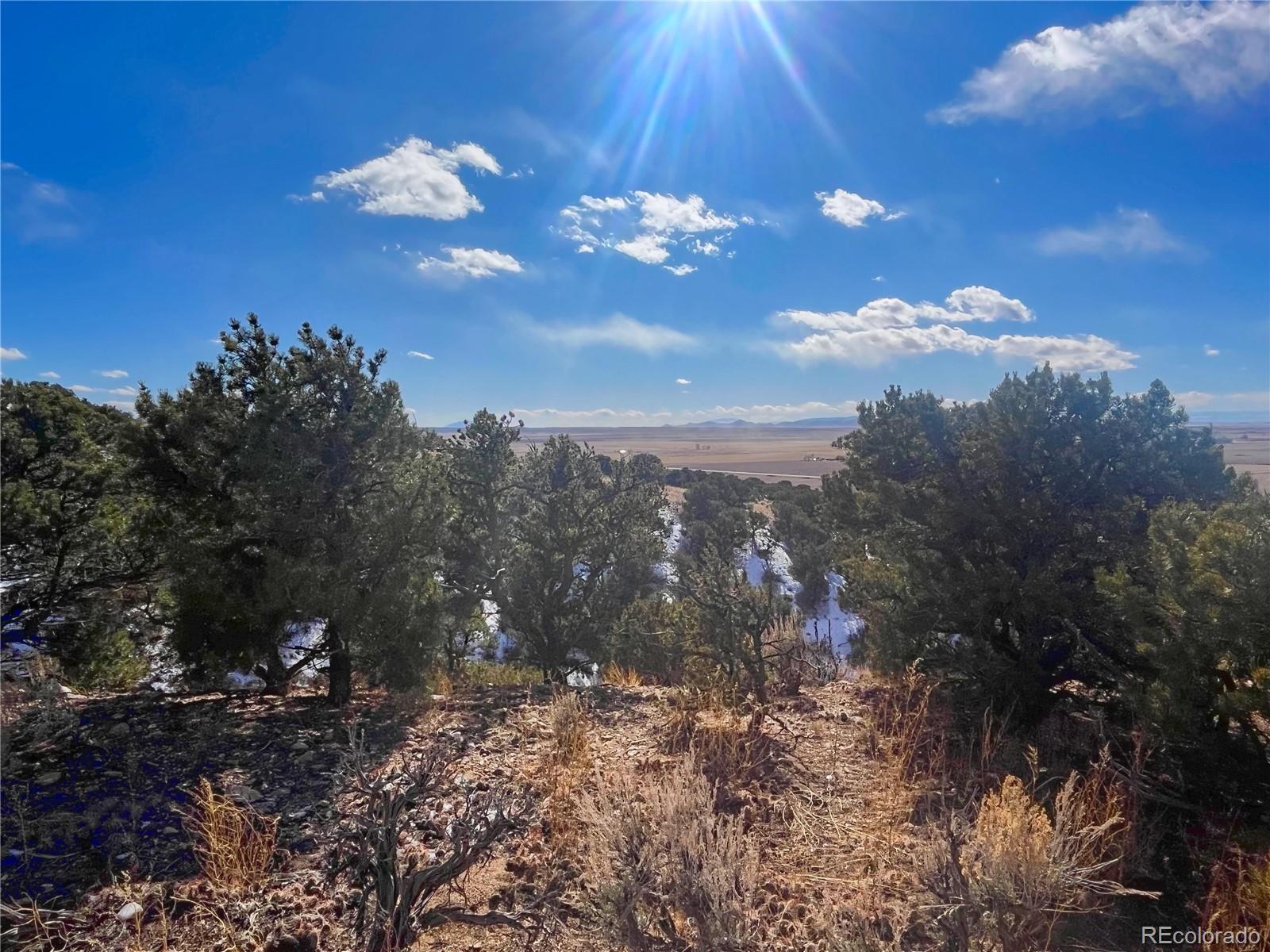 0 Bildy Road Fort Garland, CO 81133 - Photo 3 of 10 Gallery Image 3