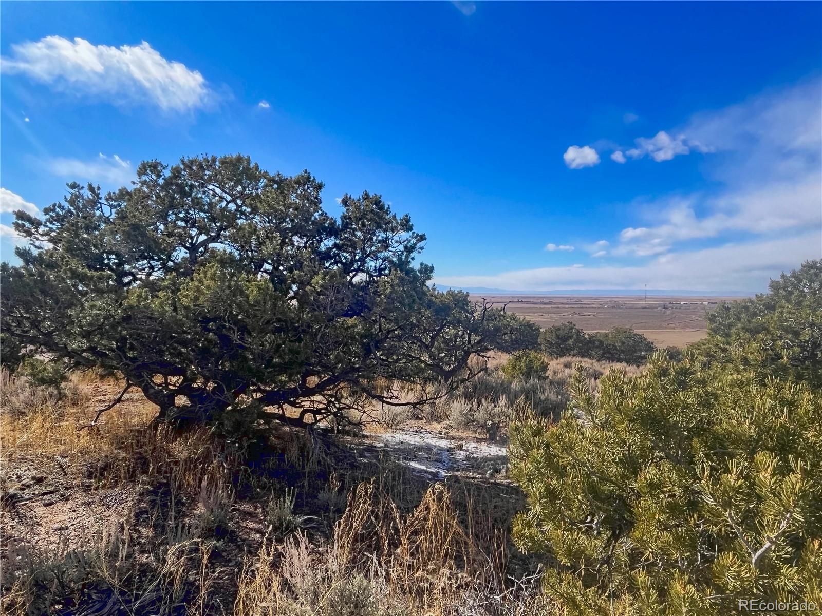 0 Bildy Road Fort Garland, CO 81133 - Photo 7 of 10 Gallery Image 7
