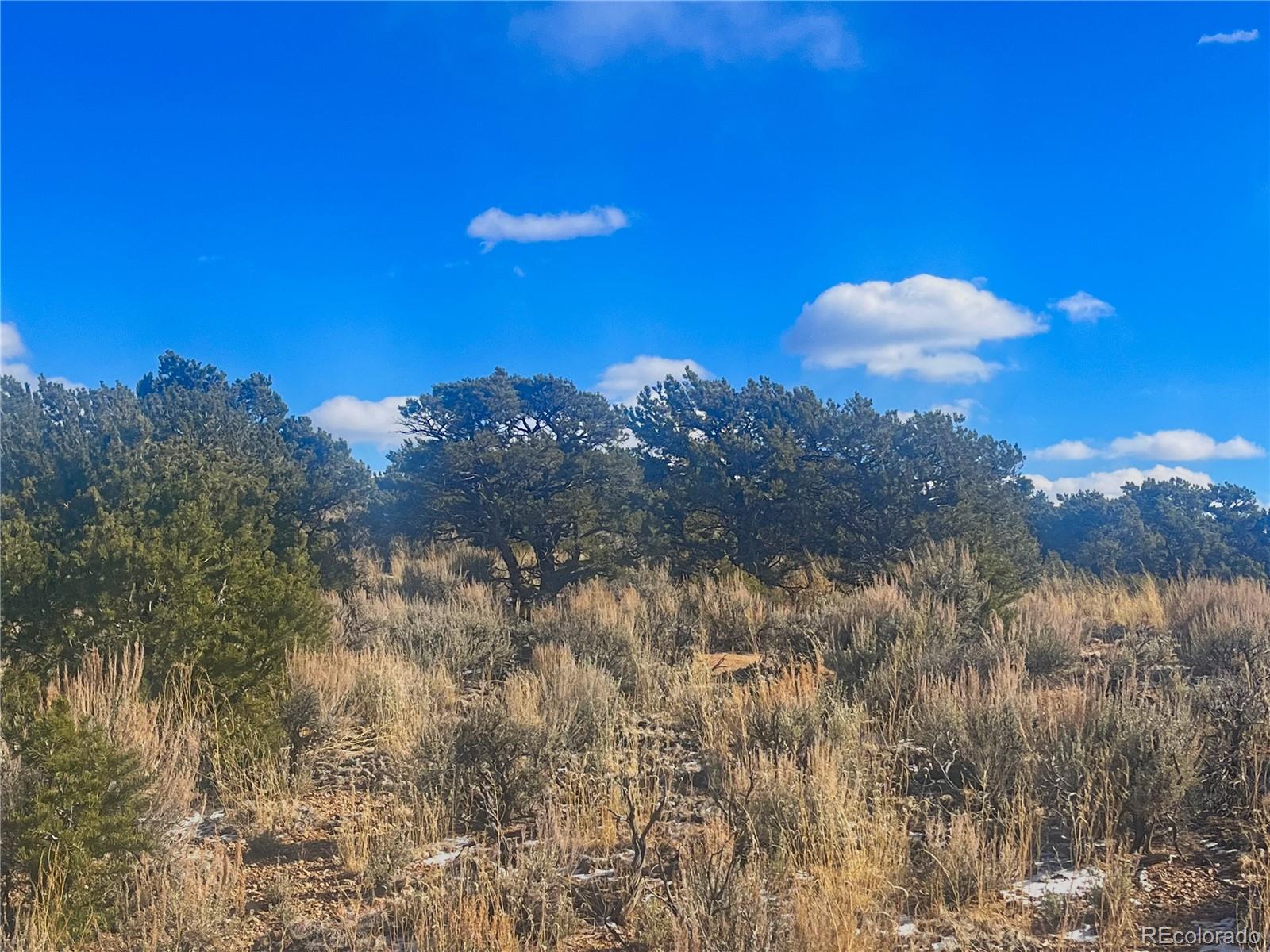 0 Bildy Road Fort Garland, CO 81133 - Photo 8 of 10 Gallery Image 8
