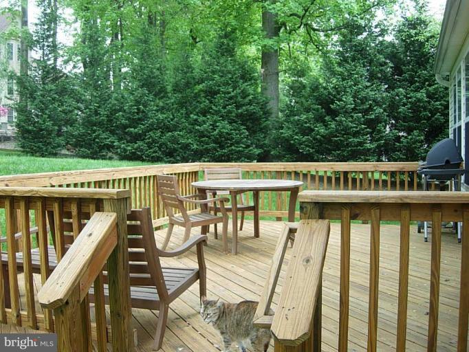 13113 Riviera Terrace Silver Spring, MD 20904 - Photo 26 of 30 Deck