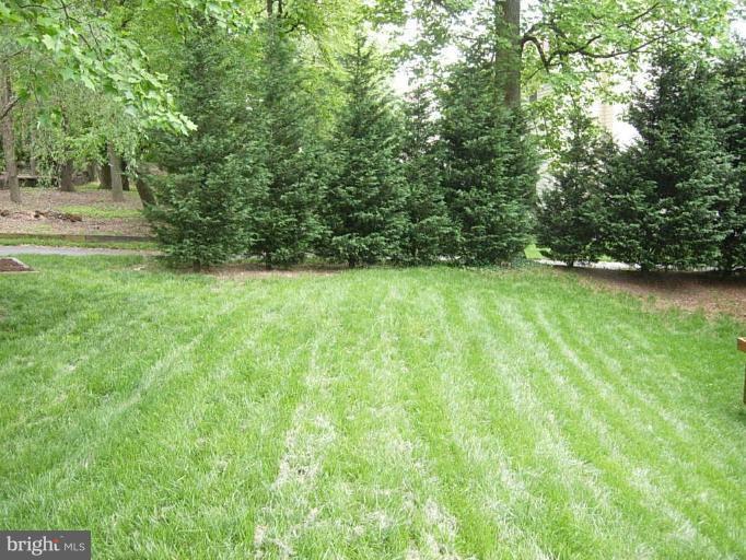13113 Riviera Terrace Silver Spring, MD 20904 - Photo 28 of 30 Back yard