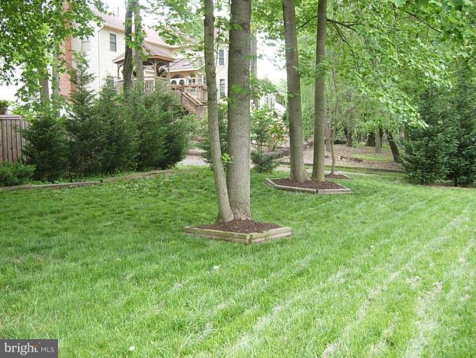 13113 Riviera Terrace Silver Spring, MD 20904 - Photo 30 of 30 Exterior #3