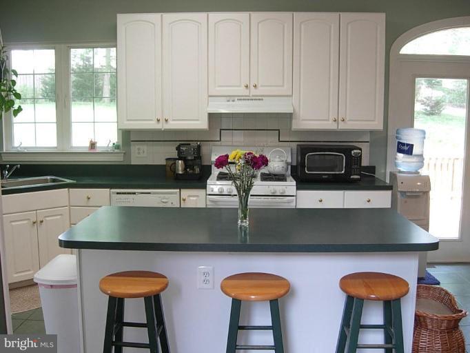 13113 Riviera Terrace Silver Spring, MD 20904 - Photo 10 of 30 Kitchen #2