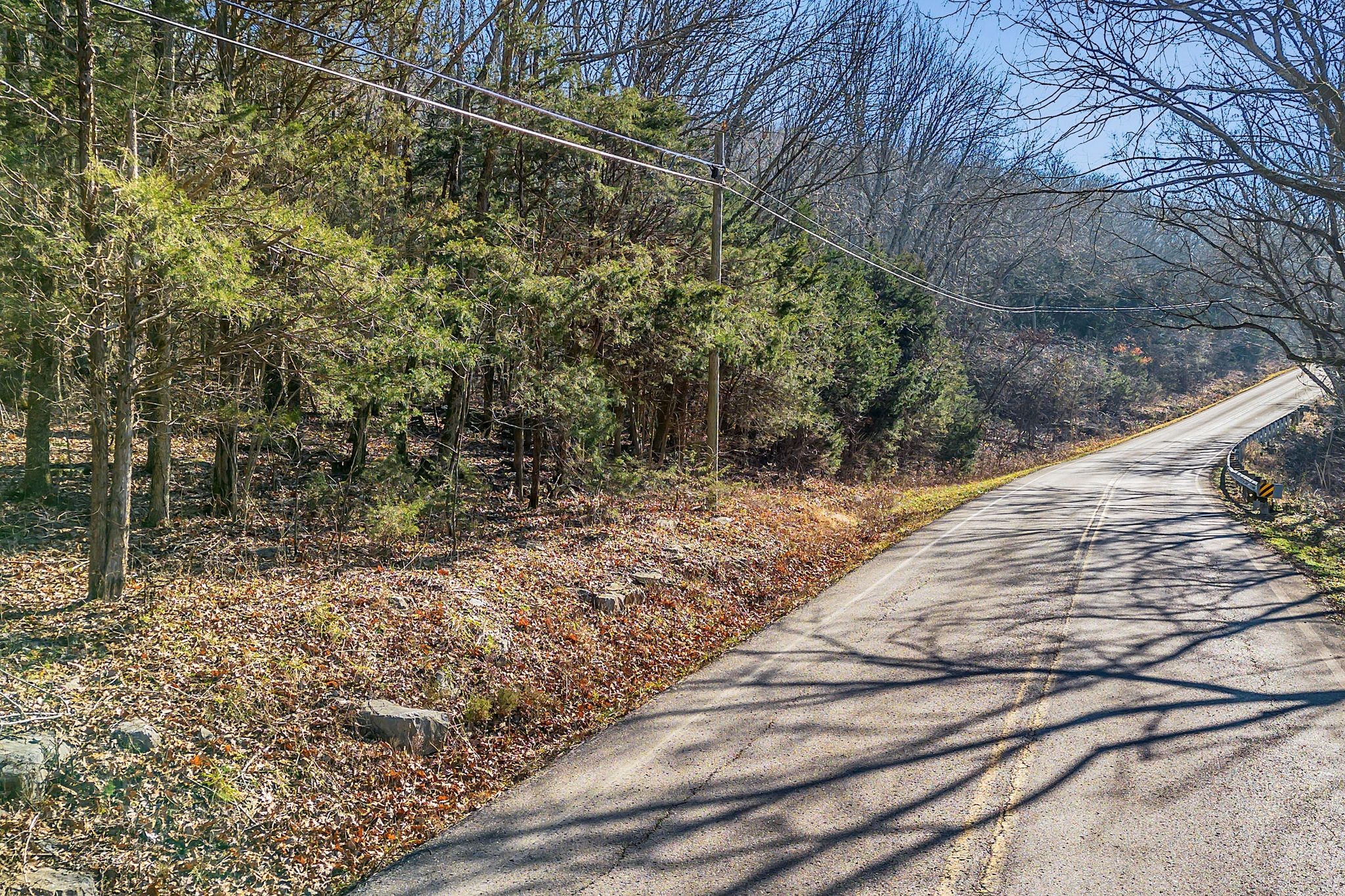 0 Sanford Road Nolensville, TN 37135 - Photo 1 of 14 a view of a yard with plants and trees