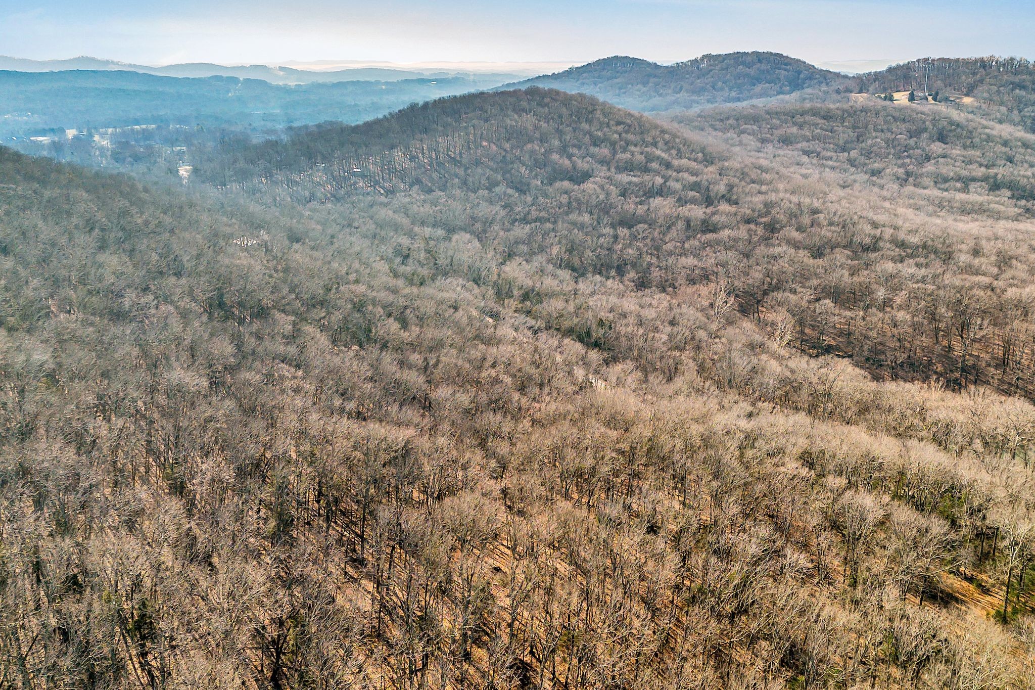 0 Sanford Road Nolensville, TN 37135 - Photo 12 of 14 a view of a dry yard with mountains in the background