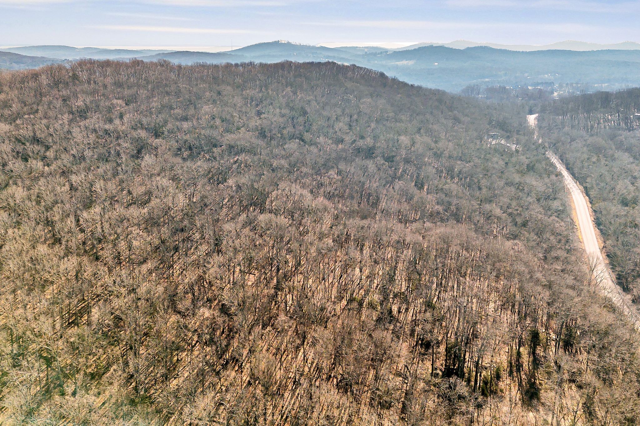 0 Sanford Road Nolensville, TN 37135 - Photo 13 of 14 a view of a dry yard with mountains in the background