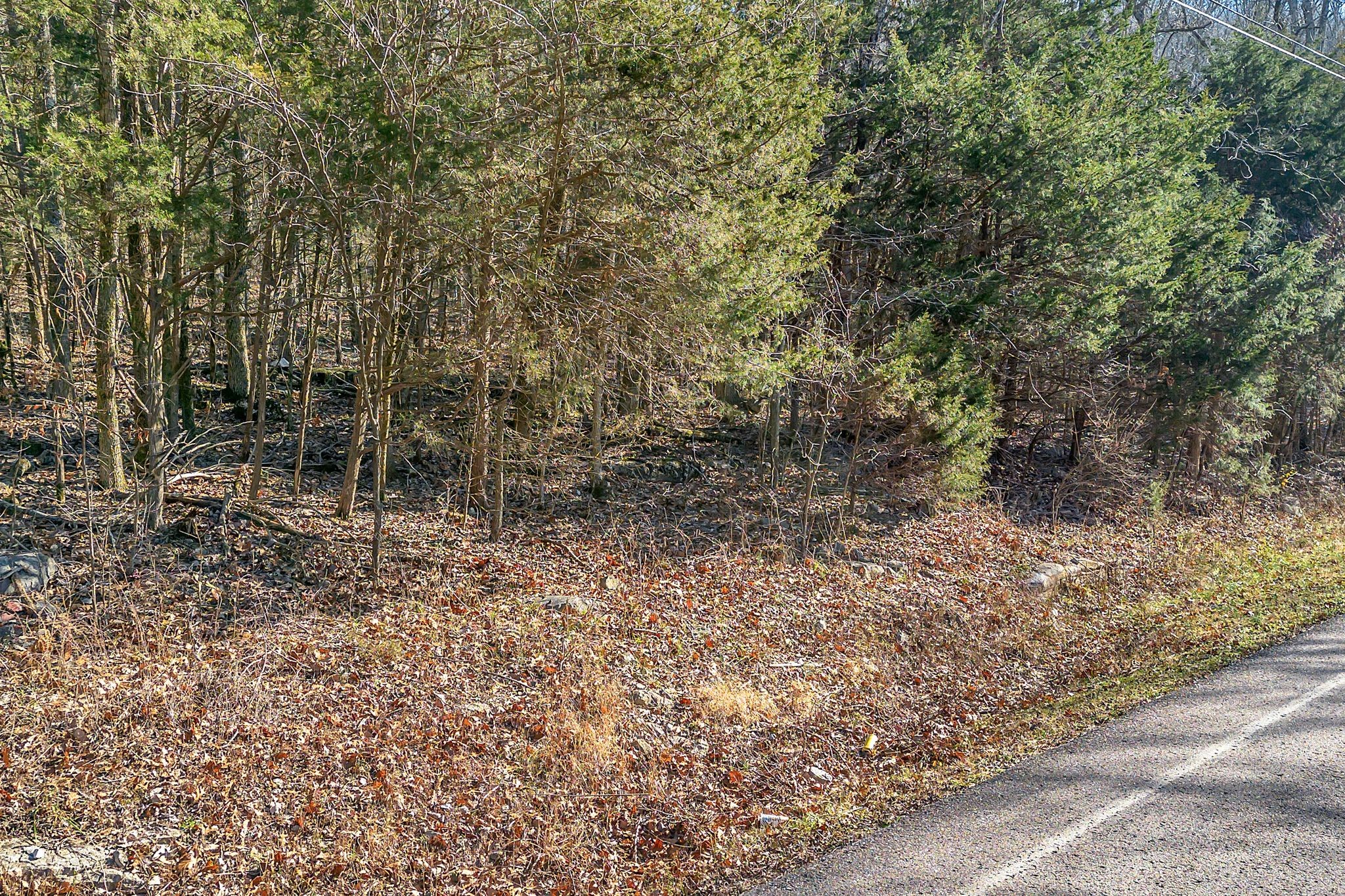0 Sanford Road Nolensville, TN 37135 - Photo 6 of 14 a backyard of a house with lots of green space
