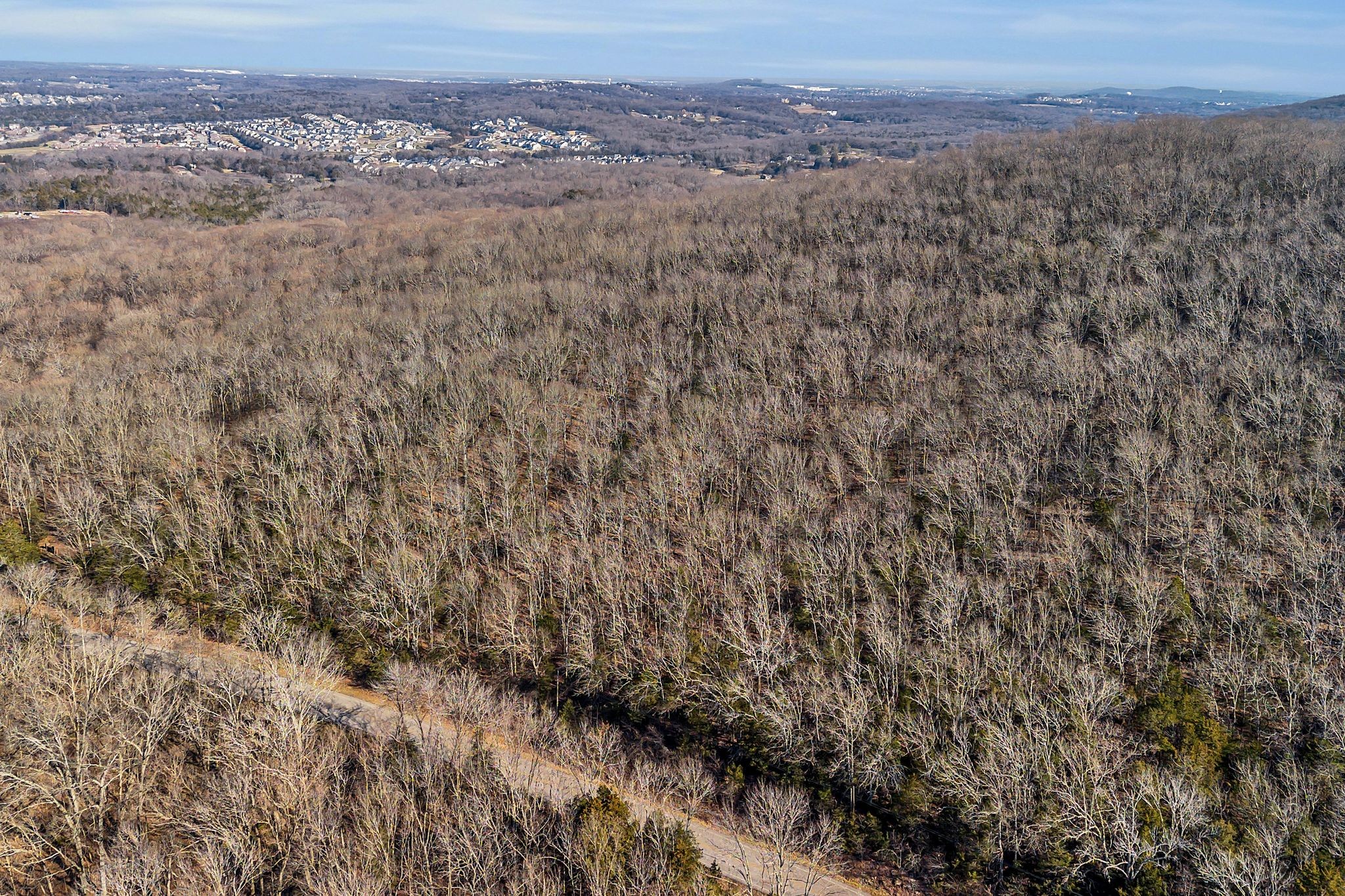 0 Sanford Road Nolensville, TN 37135 - Photo 9 of 14 a view of a dry yard