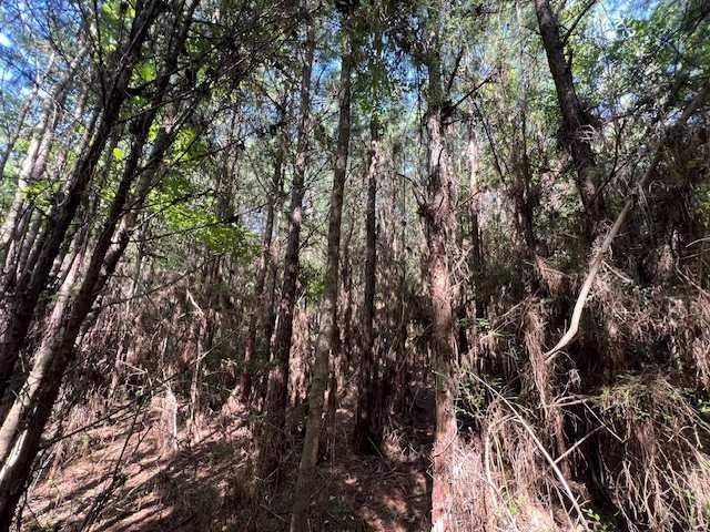 10-ac Laird Road Florala, AL 36442 - Photo 18 of 21 Gallery Image 18