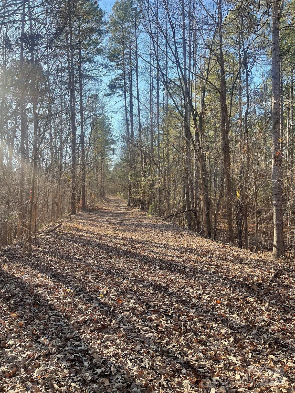 1386 Old Pinckney Road York, SC 29745 - Photo 19 of 27