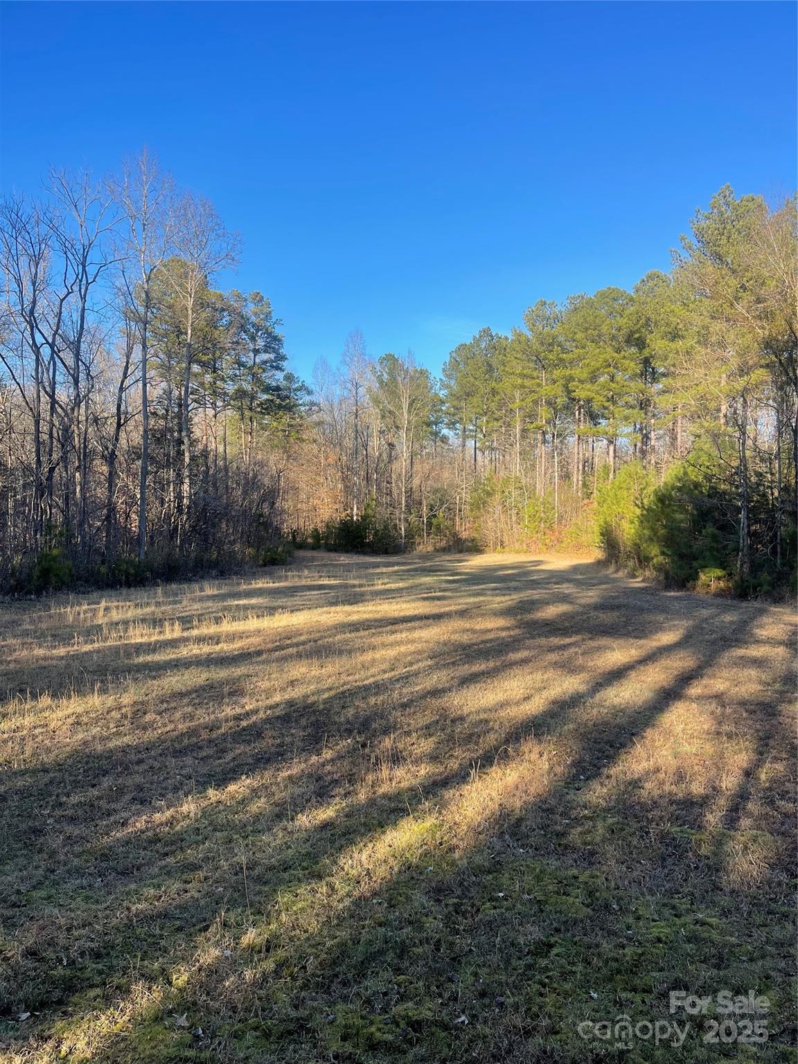 1386 Old Pinckney Road York, SC 29745 - Photo 21 of 27