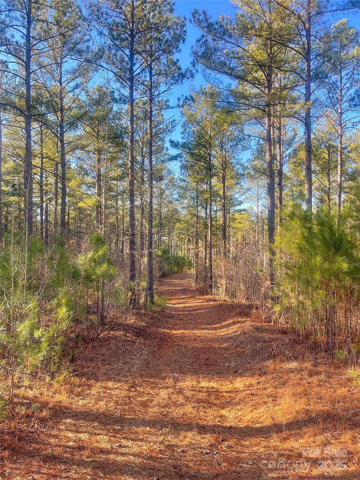 1386 Old Pinckney Road York, SC 29745 - Photo 23 of 27