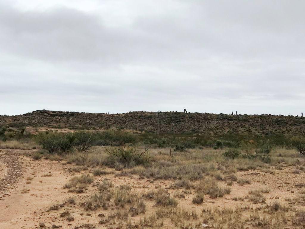 Ab 6487 Blk 65 T8 Sur 32 Road Van Horn, TX 79855 - Photo 4 of 6 unnamed (9)