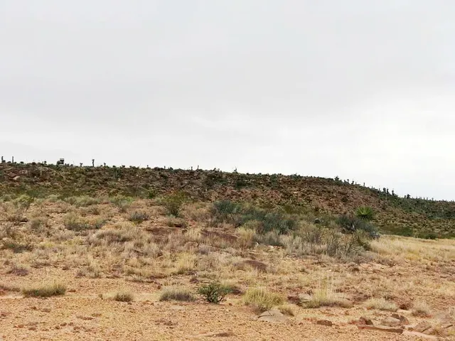 $700,000 | Ab 6487 Blk 65 T8 Sur 32 Road, Van Horn, TX 79855