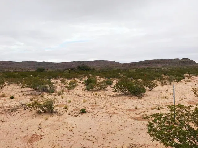 $700,000 | Ab 6487 Blk 65 T8 Sur 32 Road, Van Horn, TX 79855