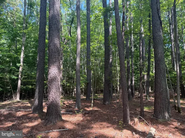 $295,000 | 13435 Dowell Road, Solomons, MD 20688