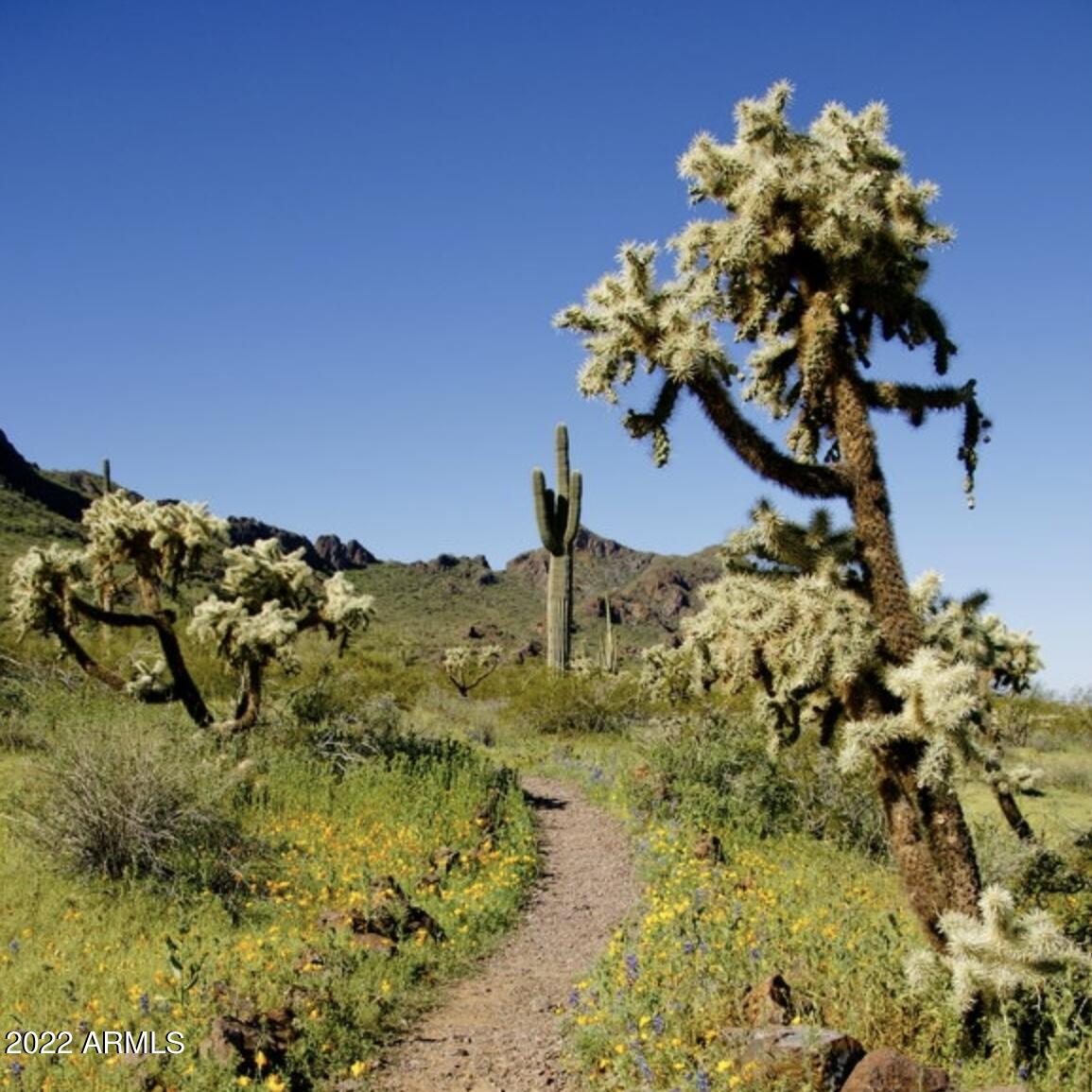 7104 East Nutt Road Picacho, AZ 85141 - Photo 41 of 45 Hiking trails