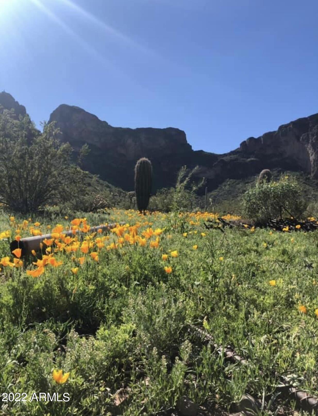 7104 East Nutt Road Picacho, AZ 85141 - Photo 42 of 45 Picacho peak, wildflowers Poppies
