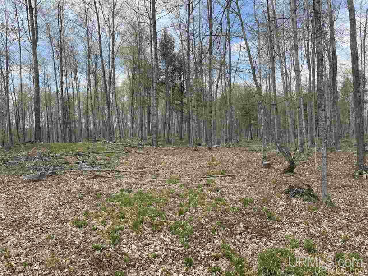 Tbd Tbd Truax Road, Unit 1 Cornell, MI 49818 - Photo 21 of 43
