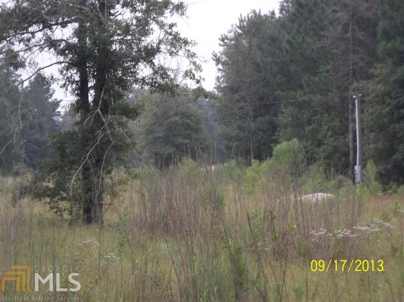1202 Old Reidsville-Collins Road Collins, GA 30421 - Photo 1 of 1