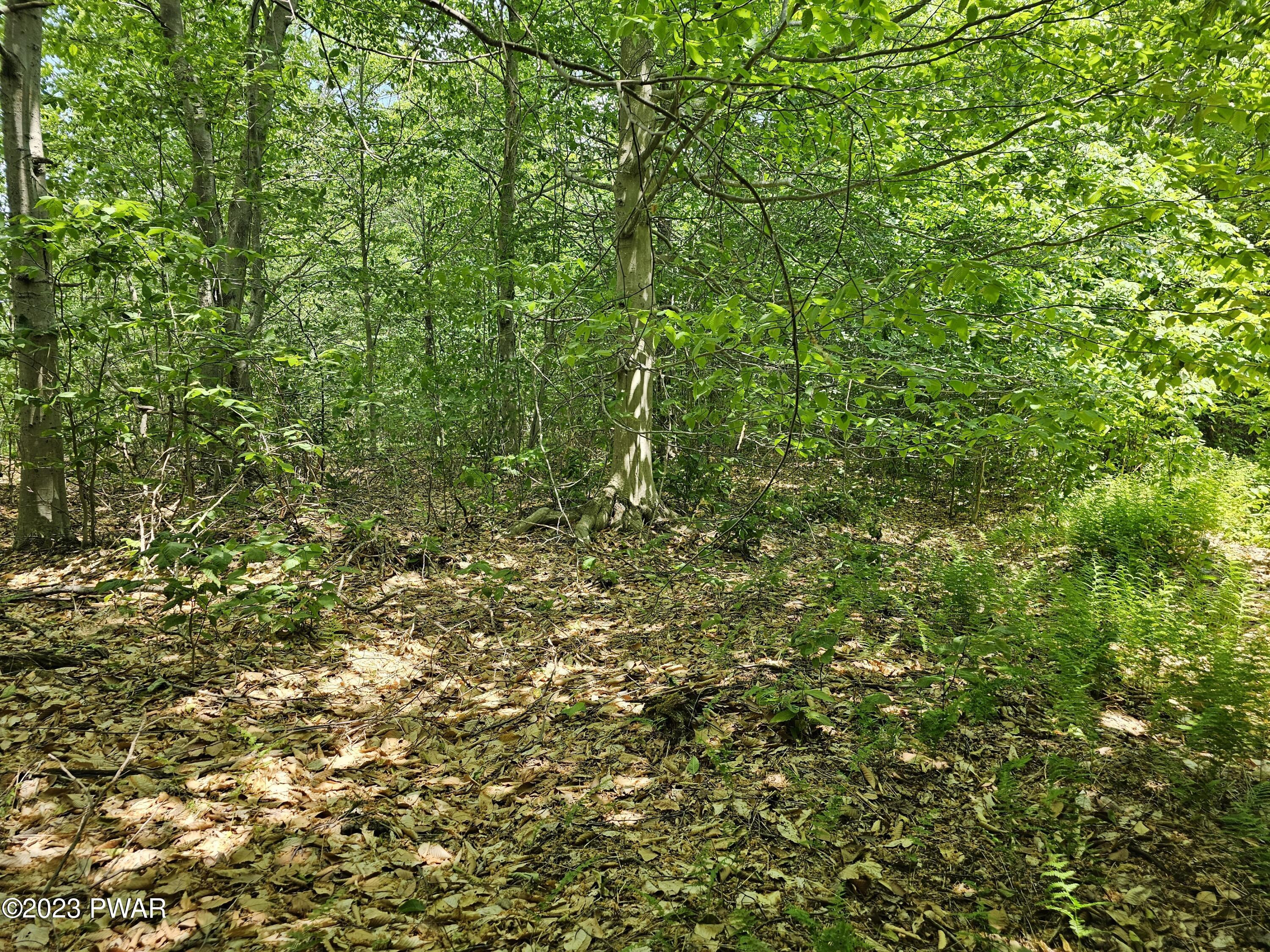 Lot 69 Stonegate Road Equinunk, PA 18417 - Photo 8 of 29