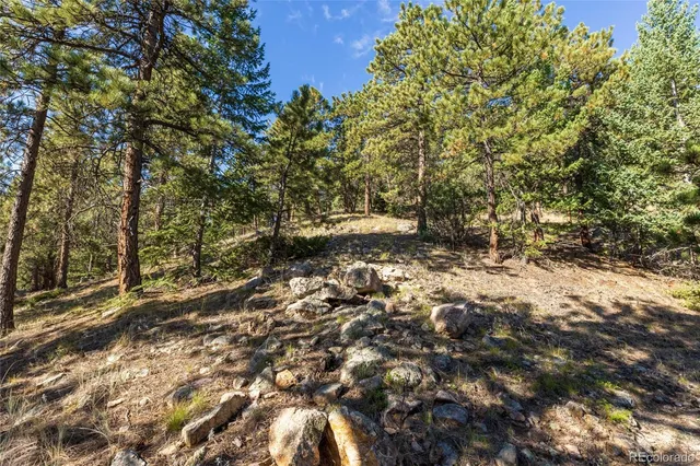 a view of a mountain