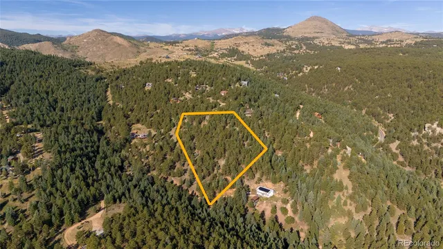 a view of a forest with lots of trees