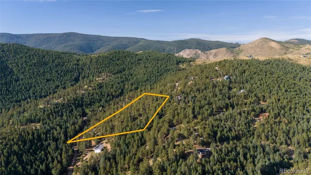 a view of a forest with a mountain