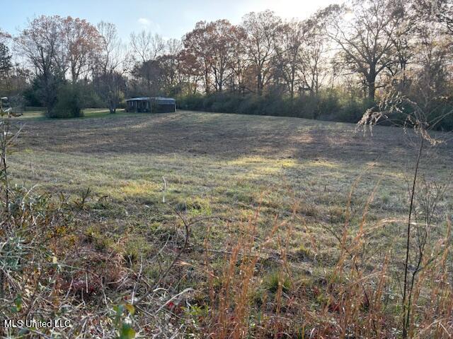1588 Pettey Road Forest, MS 39074 - Photo 17 of 18 IMG_0225