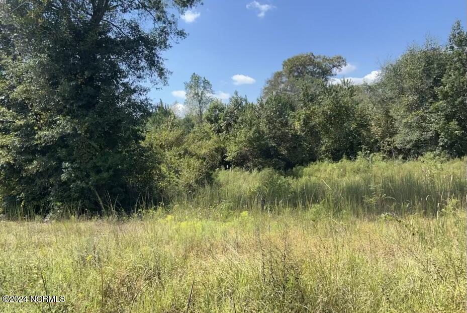 0 Point Caswell Road Willard, NC 28478 - Photo 2 of 6 Unknown-4