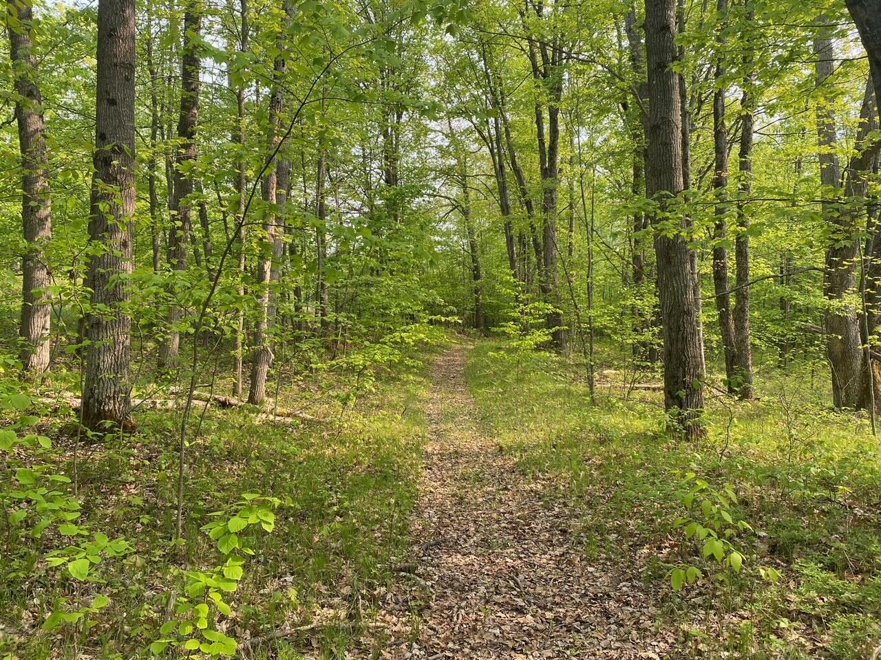 Basel Drive Reed City, MI 49677 - Photo 11 of 24 11
