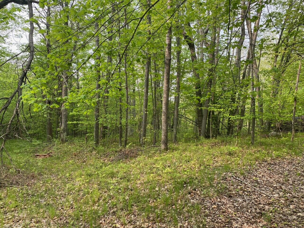 Basel Drive Reed City, MI 49677 - Photo 13 of 24 13