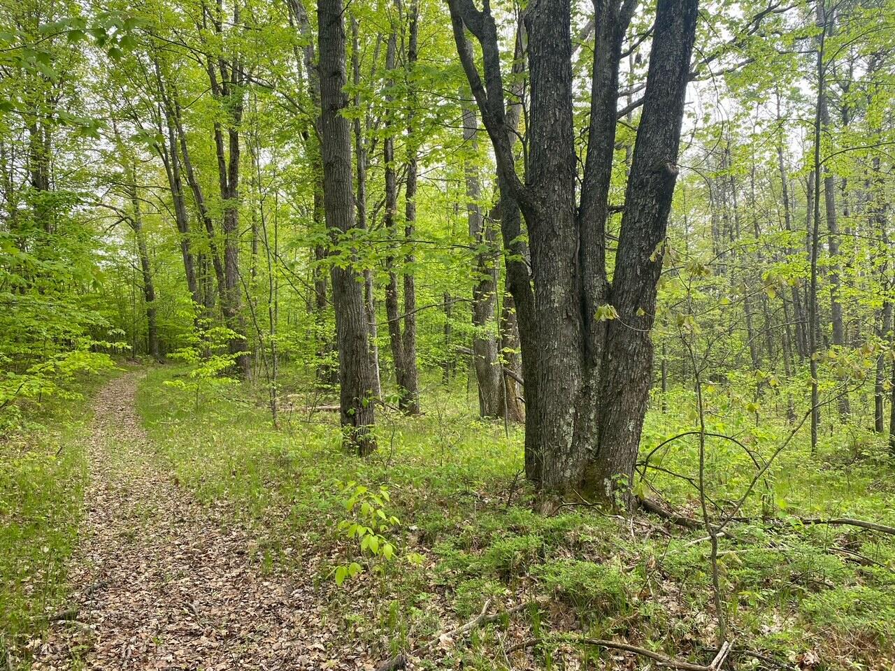 Basel Drive Reed City, MI 49677 - Photo 14 of 24 14
