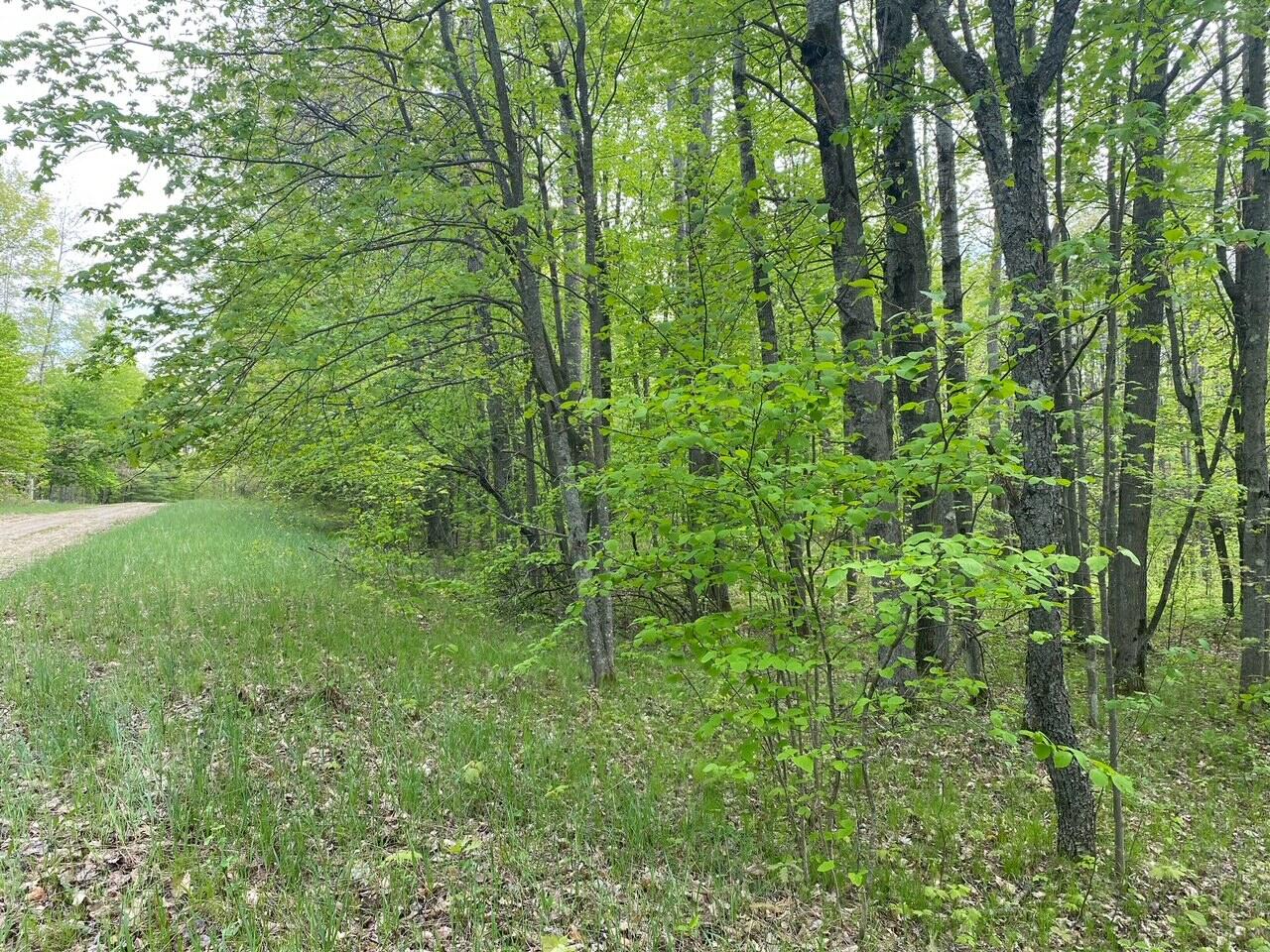 Basel Drive Reed City, MI 49677 - Photo 15 of 24 15