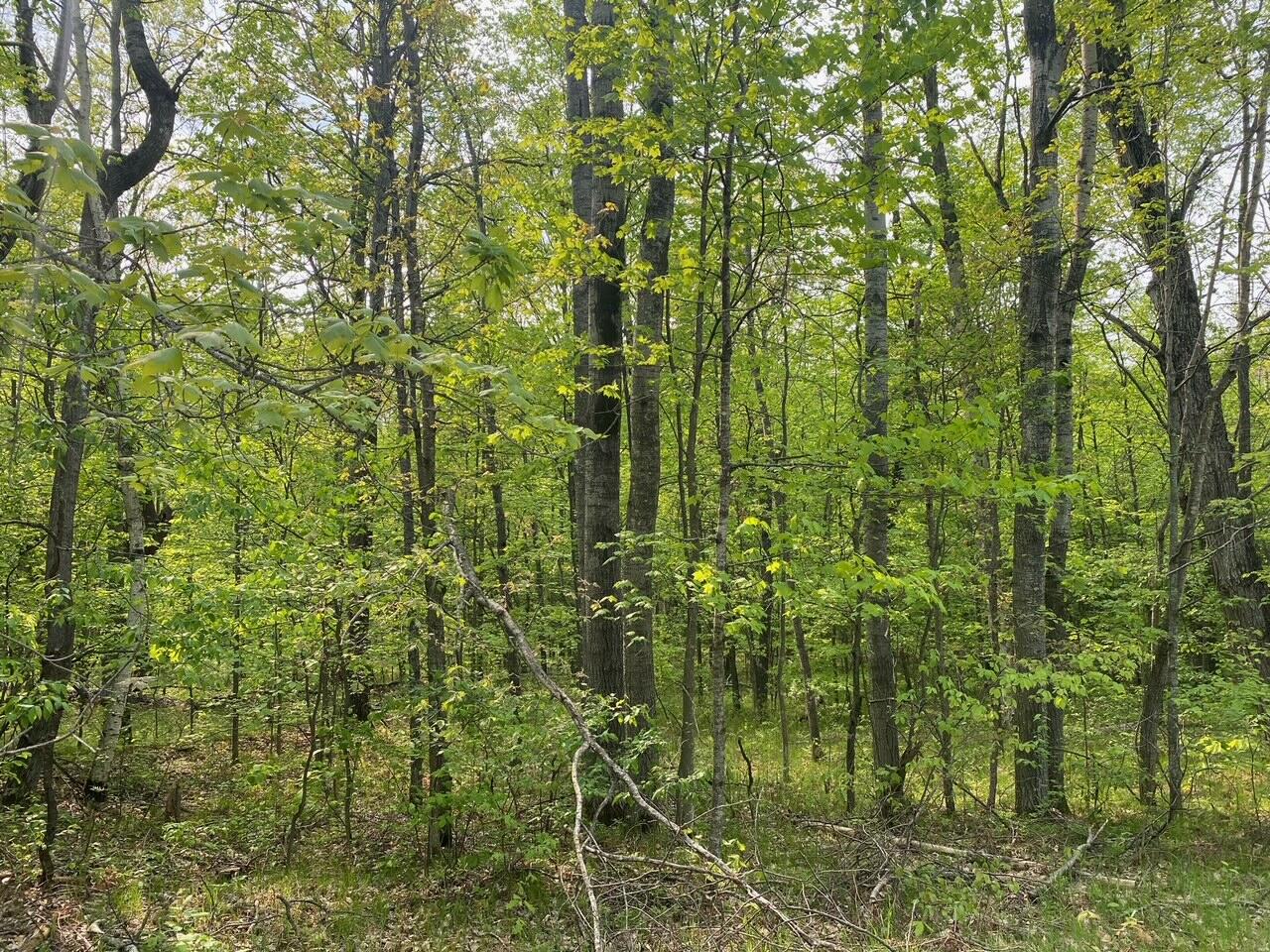 Basel Drive Reed City, MI 49677 - Photo 2 of 24 2