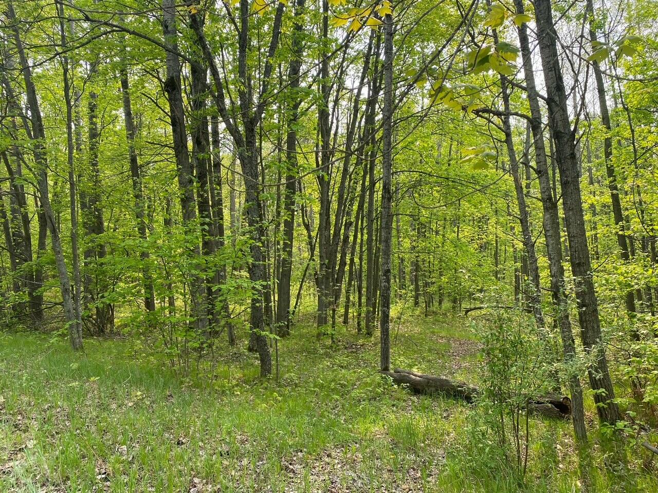 Basel Drive Reed City, MI 49677 - Photo 3 of 24 3